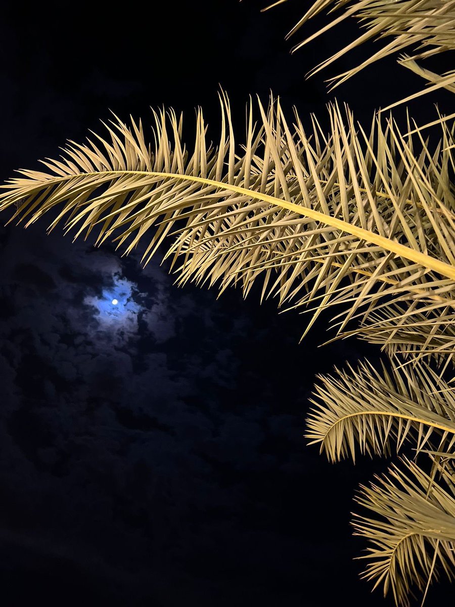 ㅤ  ⚘

           لو للقمر وجه ذي عينه وذا خده 
        يٰ الفارع الغنج عاف الناس واتجّهك

        يٰ فارق الوصف خذ عقلي على قدّه
       هو عاد في الارض زين وماخذه وجهك 

                            ♥️💤