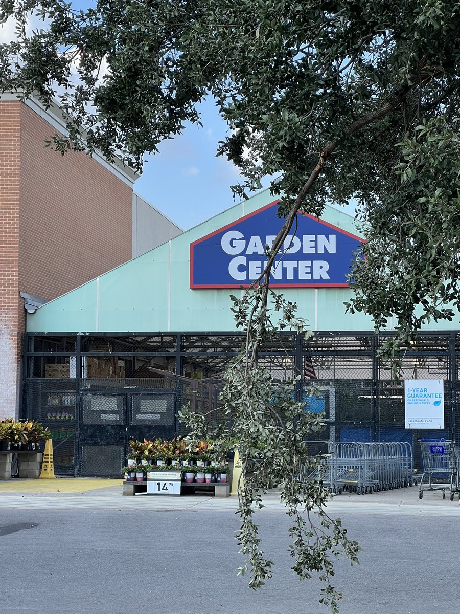 dlacraft's tweet photo. Sadly, @Lowes does not include trees as part of the Garden Center theme. https://t.co/oPA6bqQAHk