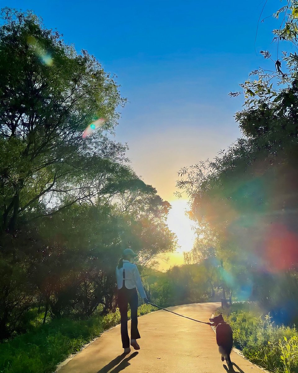 ⠀⠀⠀
   Aqui estão alguns registros do meu passeio com Oscar nesta tarde — deixei mamãe responsável por nos fotografar, enquanto caminhavámos. O clima estava agradável e poder andar pelo bairro esquentou meu coração... Anyway, melhor programa para iniciar a semana! ♡ 
⠀⠀⠀