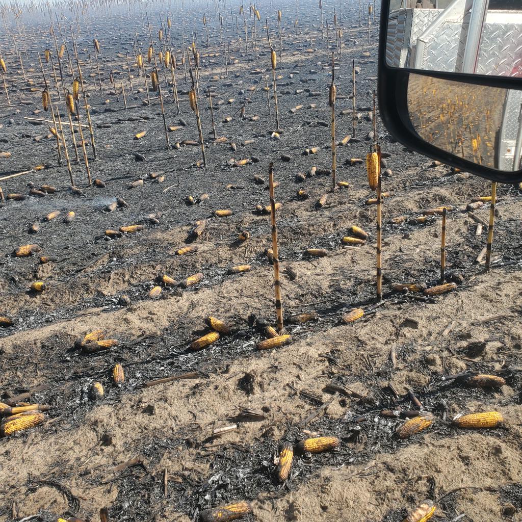 farmproud's tweet photo. Let's be careful out there. I'd rather be driving the combine than the fire truck. Not a good day for one grower or a whole bunch of volunteer fire fighters. https://t.co/TLh5EREAQo