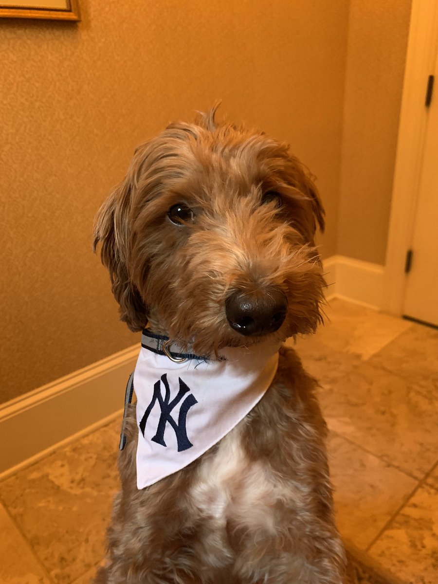 marissy_nft💀 tweet media