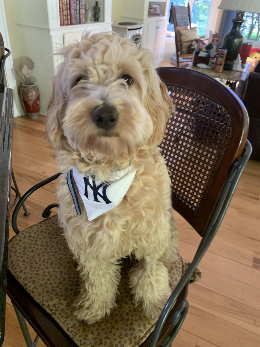 marissy_nft💀 tweet media