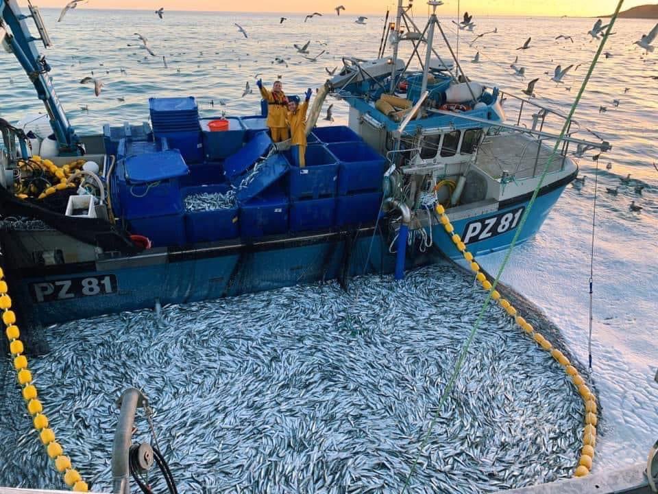 NewlynFishing's tweet photo. Inspired & Great-full for #Consumers (post Brexit) Faith in 🇬🇧 #Seafood our #Fishermen are determined to Harvest #QualityFish for #Uk Tables! ….Through the Gaps! - Newlyn Fishing News: Key Statistics Fleet: https://t.co/0KKrsJuQUv #FreshCornish @CornwallSeafood @NewlynStevenson https://t.co/Xqn9CW2m4z