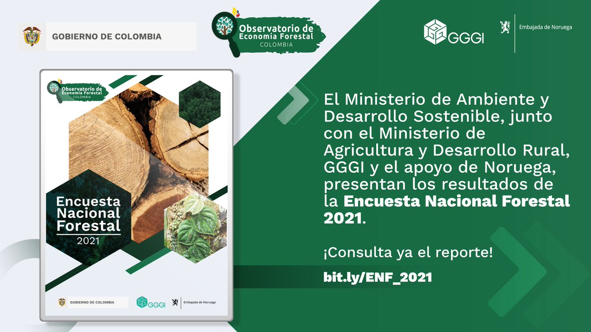 GGGICol's tweet photo. #InfoForestal | ¿#SabíasQue a través de la Encuesta Nacional Forestal se lograron caracterizar 4⃣7⃣ productos de madera aserrada incluyendo precios de comercialización?🪵
Conoce los resultados de desempeño, empleo, tecnologías y productos del año 2021👉 https://t.co/VZyDmqLBBI https://t.co/UW0kD5HESs