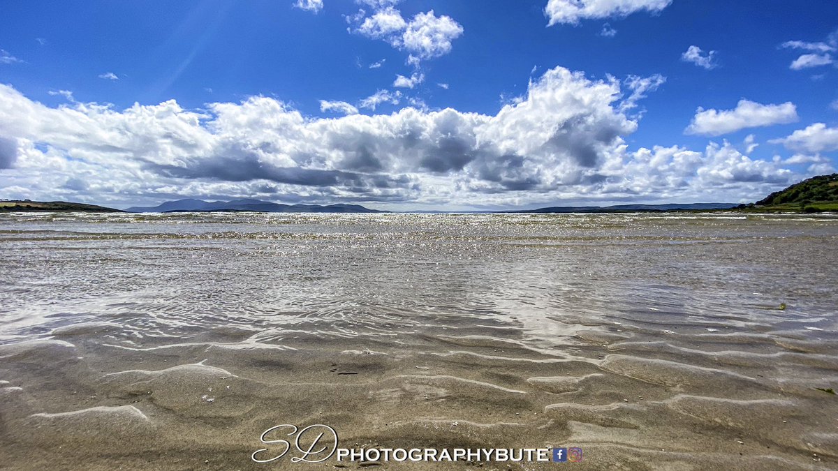 sdphotobute's tweet photo. Some older shots with the new watermark. https://t.co/q32ub0gvyX
