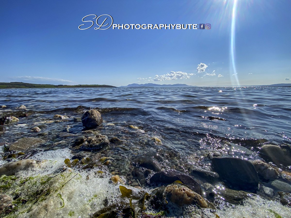 sdphotobute's tweet photo. Some older shots with the new watermark. https://t.co/q32ub0gvyX