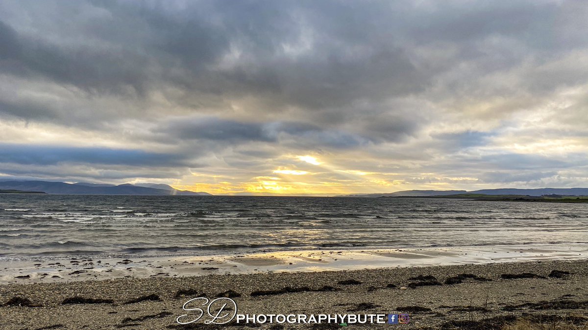 sdphotobute's tweet photo. Some older shots with the new watermark. https://t.co/q32ub0gvyX