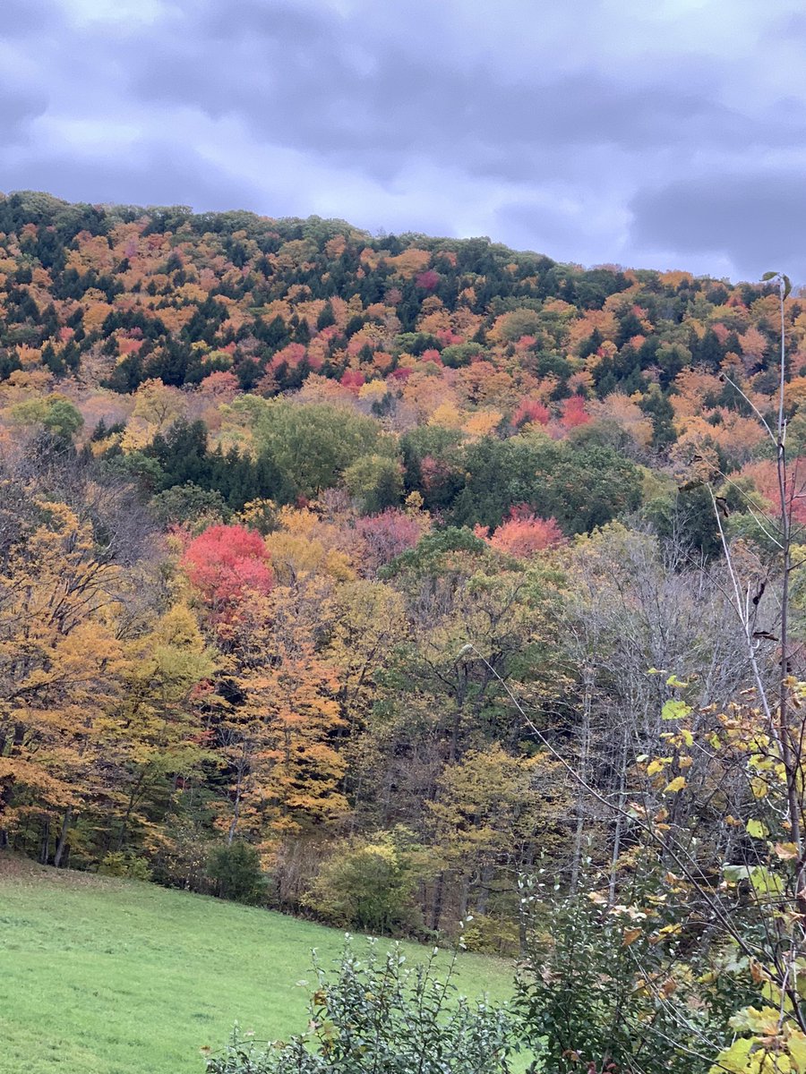 SilbertARNP's tweet photo. @VermontJen @VermontTourism @Eweather13 @ThisIsVT @spann @TylerJankoski @WeatherNation @MichaelPageWx @ericfisher @mattalltradesb @ajfroggie It was this is in Sharon VT yesterday https://t.co/JC3wQMEu6I