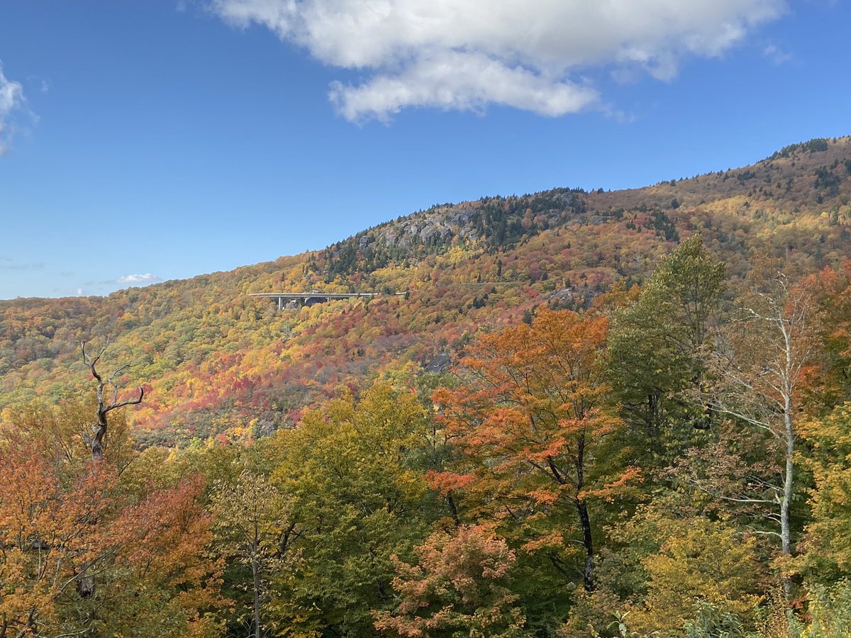 JennaJohnsonRD's tweet photo. Gorgeous color today on the @BlueRidgeNPS near Linn Cove Viaduct. @FoliageReport @wxbrad https://t.co/EWdmOUhN2P
