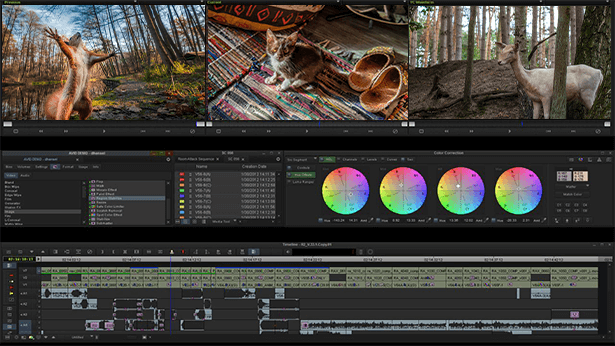 BoxxTech's tweet photo. This is how you post! The new #Avid-qualified APEXX T4 features a 64-core #AMDRyzen Threadripper PRO 5000 WX Series CPU and up to 4 #NVIDIA A6000 GPUs.  #3dsmax #maya #cinema4d #davinciresolve #blender  #depthkitstudio #premierepro #vegaspostsuite https://t.co/WFaleO92Pm https://t.co/I8SkbgwEcX