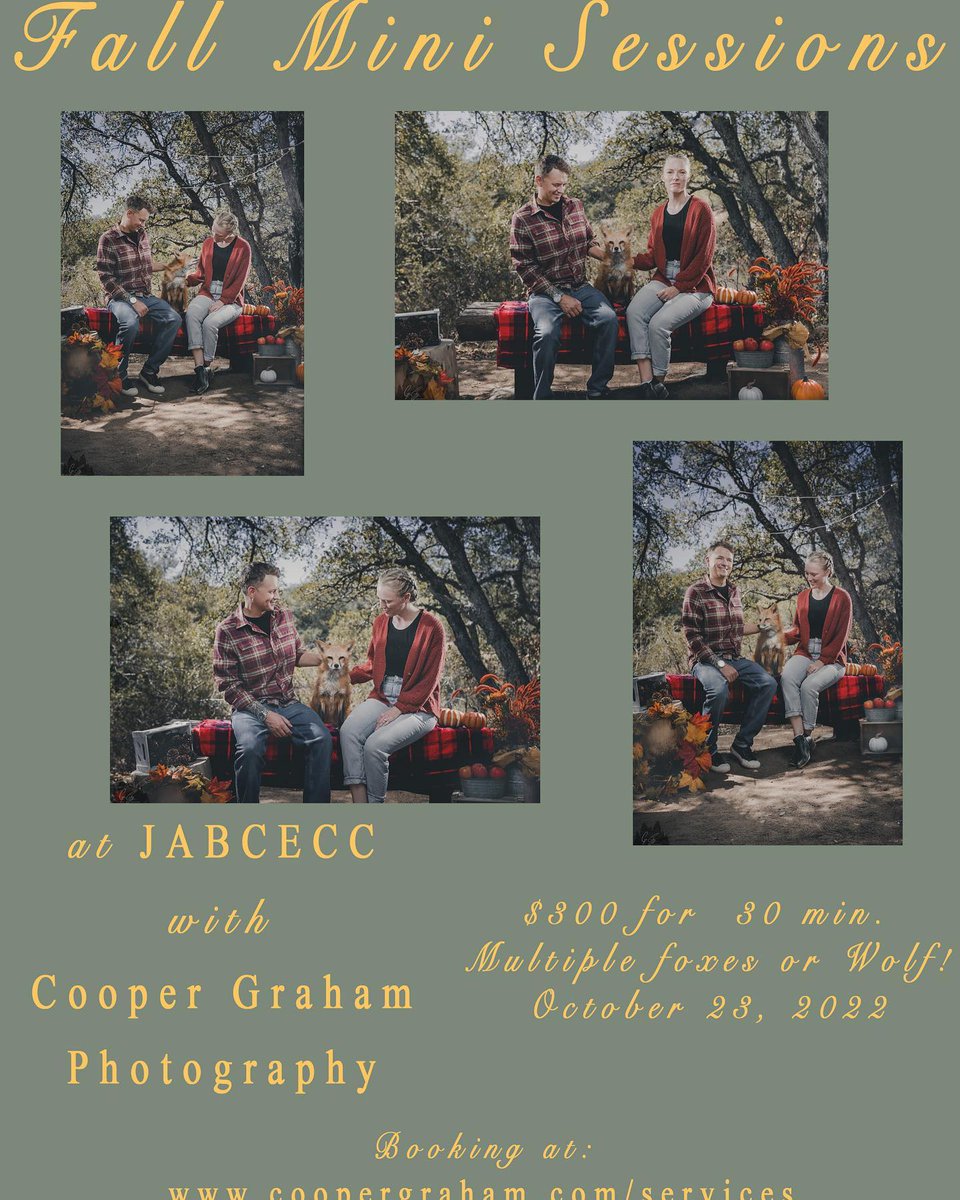 FoxesCupcakes's tweet photo. JABCECC announces Fall Mini Photo Experiences with Photographer Cooper Graham. 
Oct 23rd, 2022 
Location Santa Ysabel, CA
1/2 sessions include up to 2 foxes. https://t.co/uLb3zHkTRP