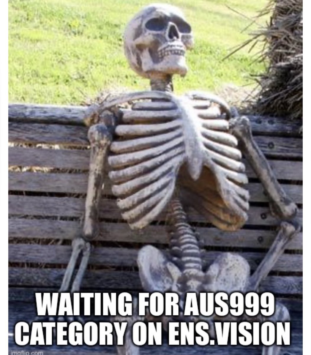 Aussies rn 🇦🇺🫡