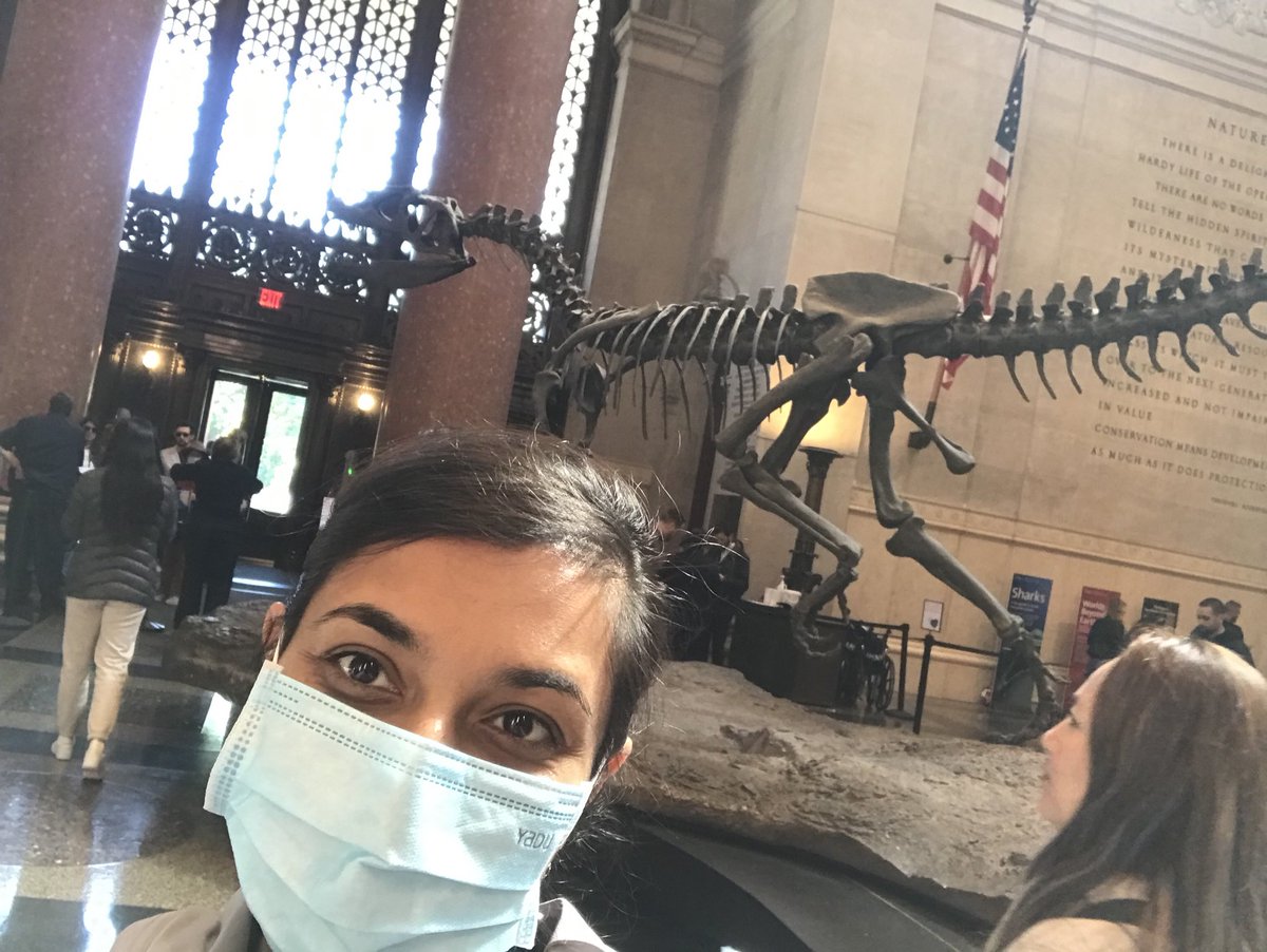 tanavip's tweet photo. NY Day 4 Dinosaurs, discovering downtown and more drinks :)(That’s not a flash bulb but the actual Moon!) https://t.co/ZhoJ11oZmR