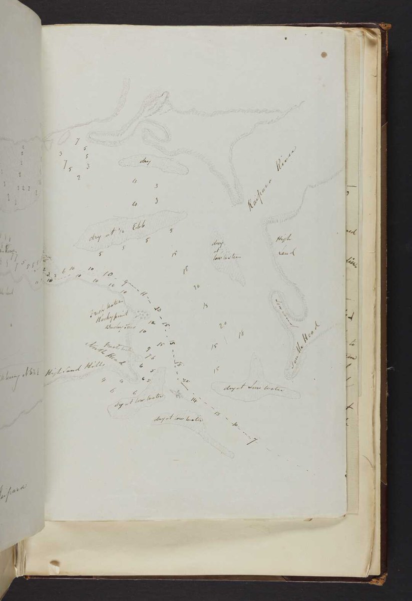 Turnbull Archivists tweet media