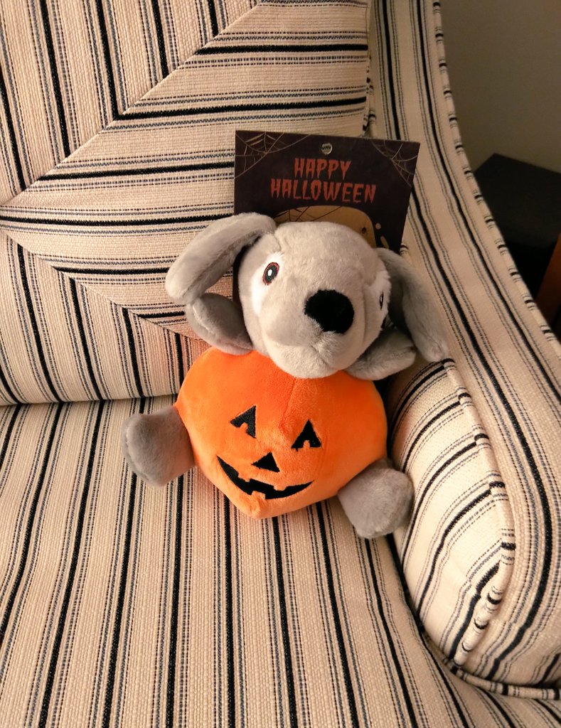 CanadianPenny1's tweet photo. Look what was waiting for me at Grandma and Grandpa's ☺️...I hope mom doesn't forget it! 🎃 https://t.co/K5xsRQKMAK