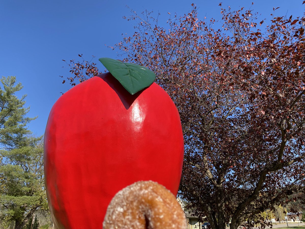 Shannon_Latham's tweet photo. Fresh apple cider donuts in Gays Mills were a delicious treat! #ThisisWisconsin #MidwestTravel #roadtrip https://t.co/Cqze9Uhfzo