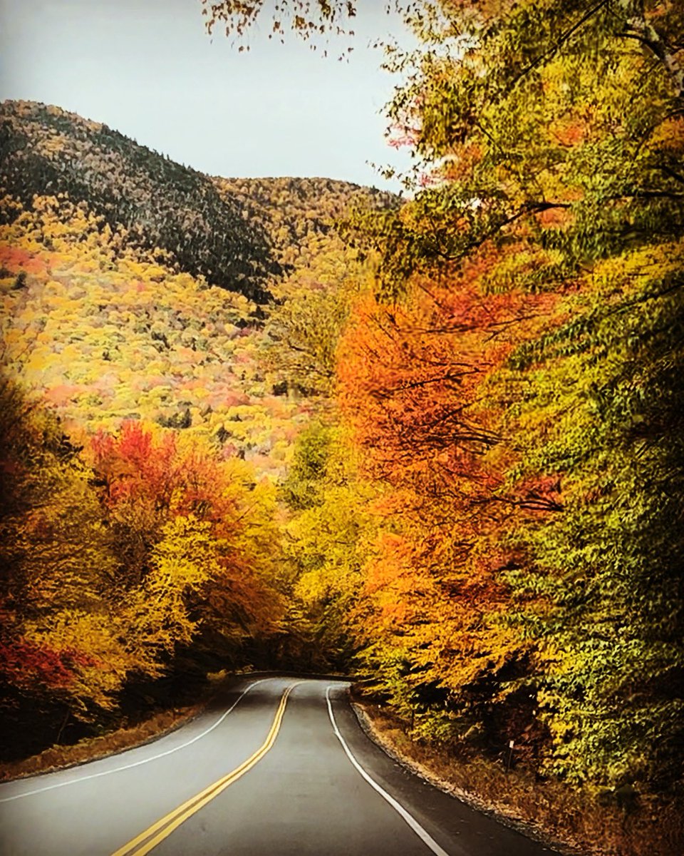 shanlon11's tweet photo. @KevinBoston25 images from Kancamagus this morning! https://t.co/BMttF5bxOv