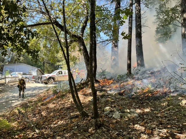 Save California Salmon (@savecalisalmon) on Twitter photo #IndigenousPeoplesDay week we are posting on Cultural Fire #LandBack & Education. This backing burn was done on <a href="/TheYurokTribe/">Yurok Tribe</a> land by Cultural Fire Management Council, for home protection & native plants #FireBack #Goodfire #ClimateAction
<a href="/ndncollective/">NDN Collective</a> <a href="/OIEIndianED/">The Office of Indian Education</a> <a href="/indianland/">Indian Land Tenure</a> #IndigenousPeoplesDay week we are posting on Cultural Fire #LandBack & Education. This backing burn was done on <a href="/TheYurokTribe/">Yurok Tribe</a> land by Cultural Fire Management Council, for home protection & native plants #FireBack #Goodfire #ClimateAction
<a href="/ndncollective/">NDN Collective</a> <a href="/OIEIndianED/">The Office of Indian Education</a> <a href="/indianland/">Indian Land Tenure</a>