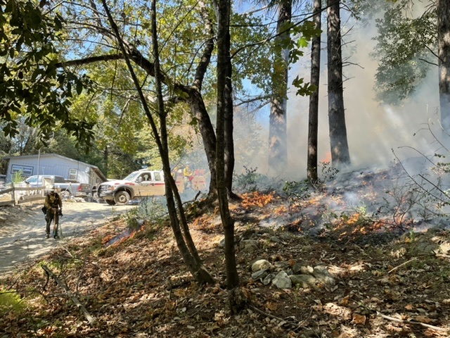 #IndigenousPeoplesDay week we are posting on Cultural Fire #LandBack & Education. This backing burn was done on @TheYurokTribe land by Cultural Fire Management Council, for home protection & native plants #FireBack #Goodfire #ClimateAction @ndncollective @OIEIndianED @indianland