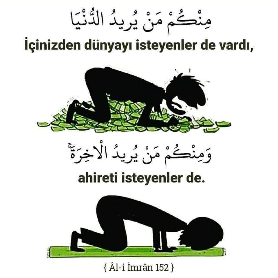 chehzade tweet picture