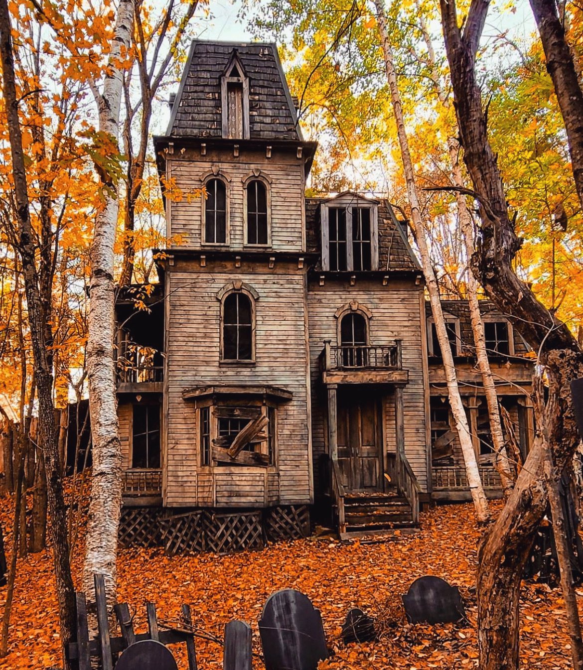 🦇🕸️ Halloween 🕸️🦇 on Twitter: 🦇🕸️ Halloween 🕸️🦇 on Twitter: