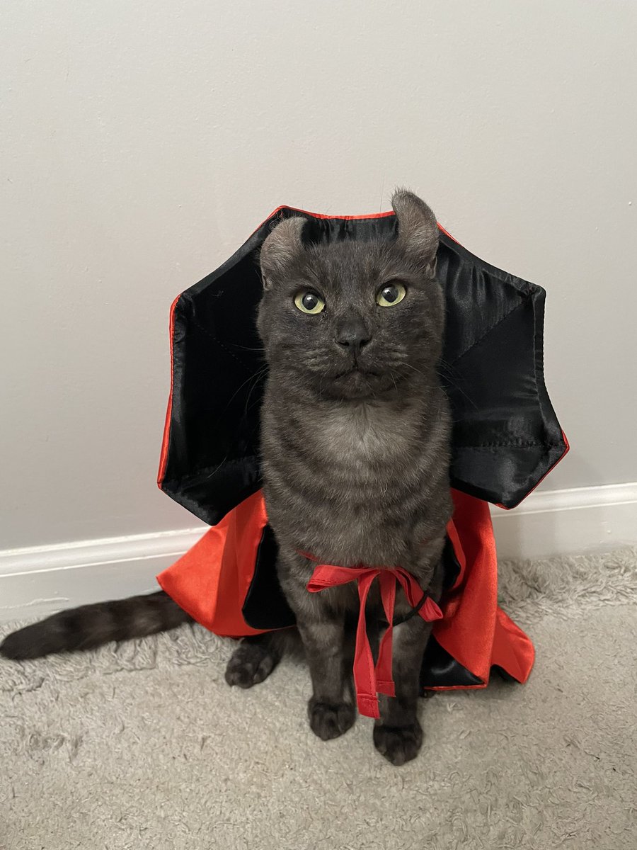 Meevin10's tweet photo. count meevula!!! how spooky!!! https://t.co/HBErXb28eU