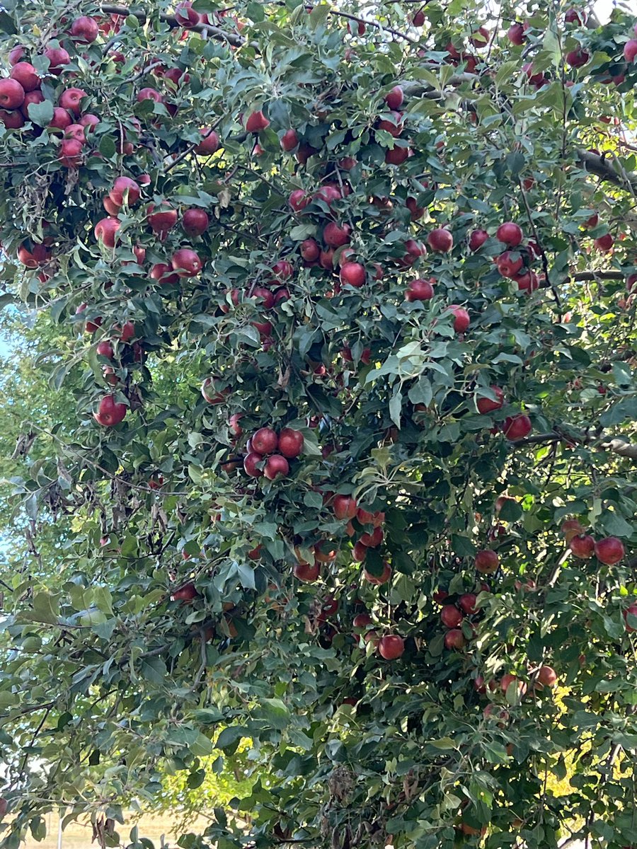 Amanda Nigg tweet media