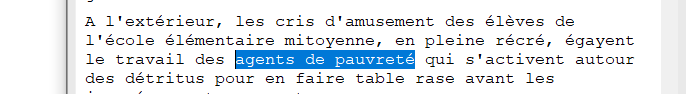 ELHAMaryam's tweet photo. "agents de pauvreté" ou les surprises de l'écriture tardive d'un article qui aboutit à la création d'expressions https://t.co/ILmarCyzZT