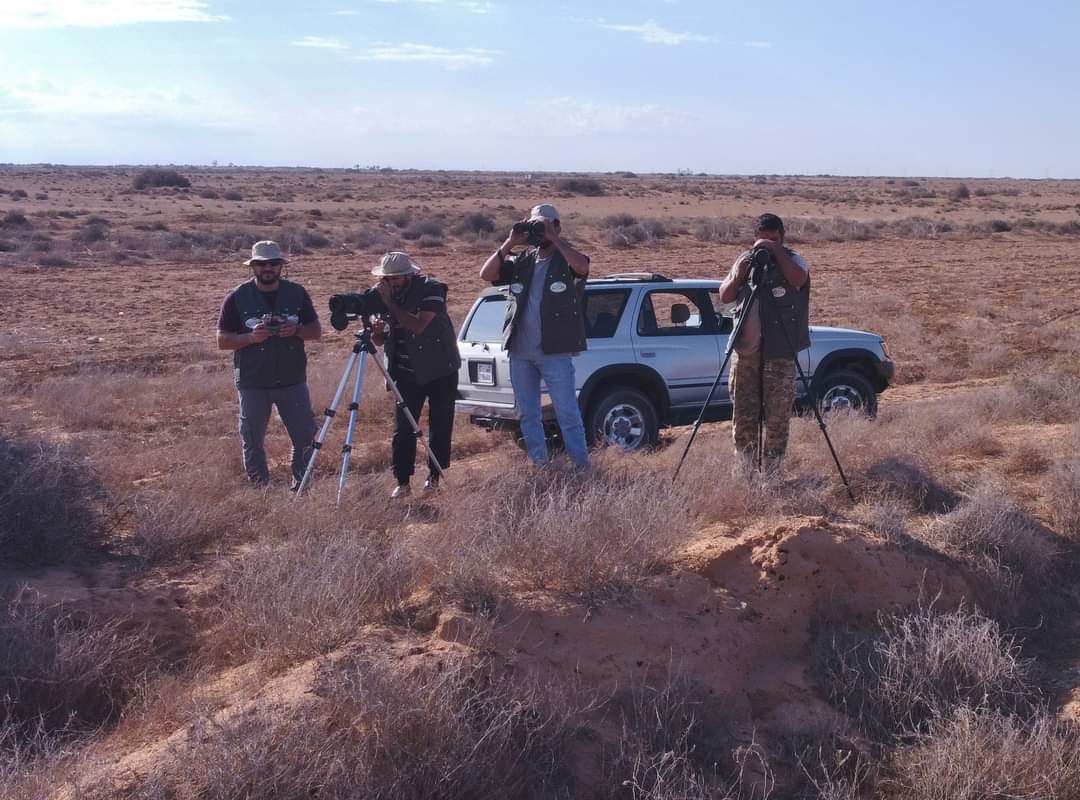 LOCN_ly's tweet photo. On the #World_Migratory_Bird_Day 8 October 2022 (the #Big_Day), we worked on a bird census in tow sites in Misurata, Wadi Sassou and Ejlood.
30 species of birds have been recorded. 
https://t.co/T6eAEEy5hL
#LOCN #LibyanBirding #globalbirding  #WorldMigratoryBirdDay #WMBD2022 https://t.co/kcyjZmHbtf
