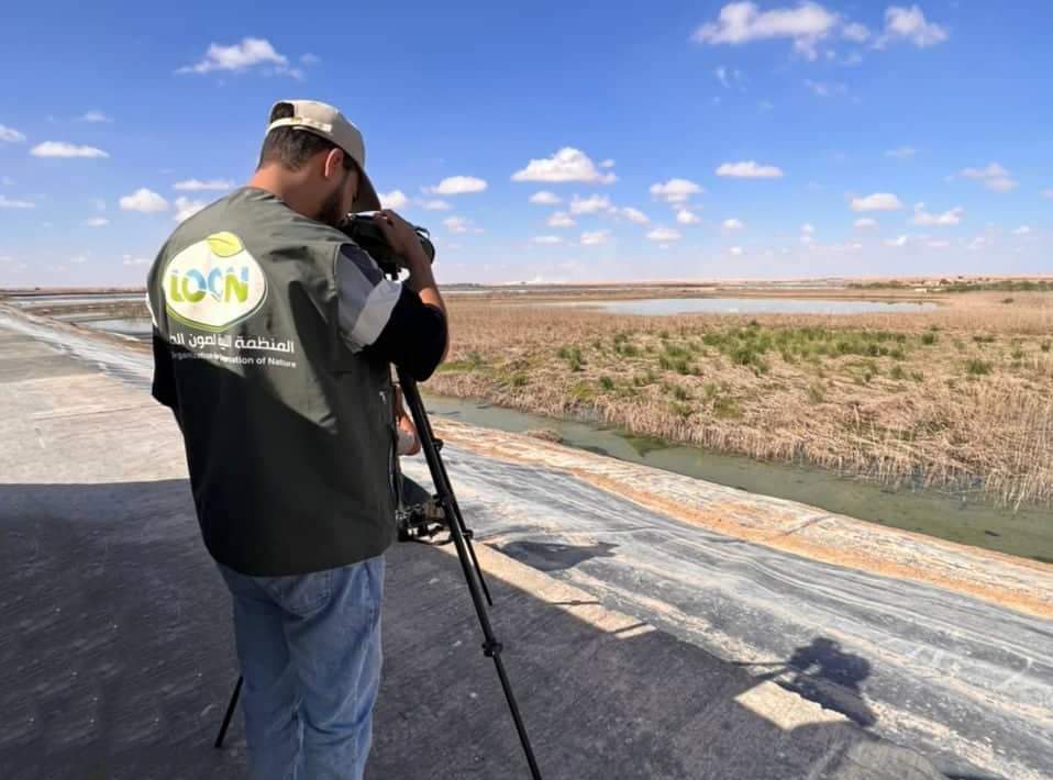 LOCN_ly's tweet photo. On the #World_Migratory_Bird_Day 8 October 2022 (the #Big_Day), we worked on a bird census in tow sites in Misurata, Wadi Sassou and Ejlood.
30 species of birds have been recorded. 
https://t.co/T6eAEEy5hL
#LOCN #LibyanBirding #globalbirding  #WorldMigratoryBirdDay #WMBD2022 https://t.co/kcyjZmHbtf