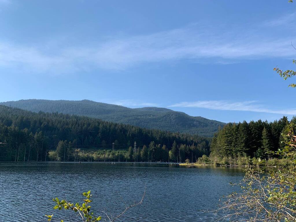 muddylaces's tweet image. Yesterday’s pre-turkey walk was around Westwood Lake with Rusty. Beauty of a day for being outside. instagr.am/p/CjjHnuFPXCj/