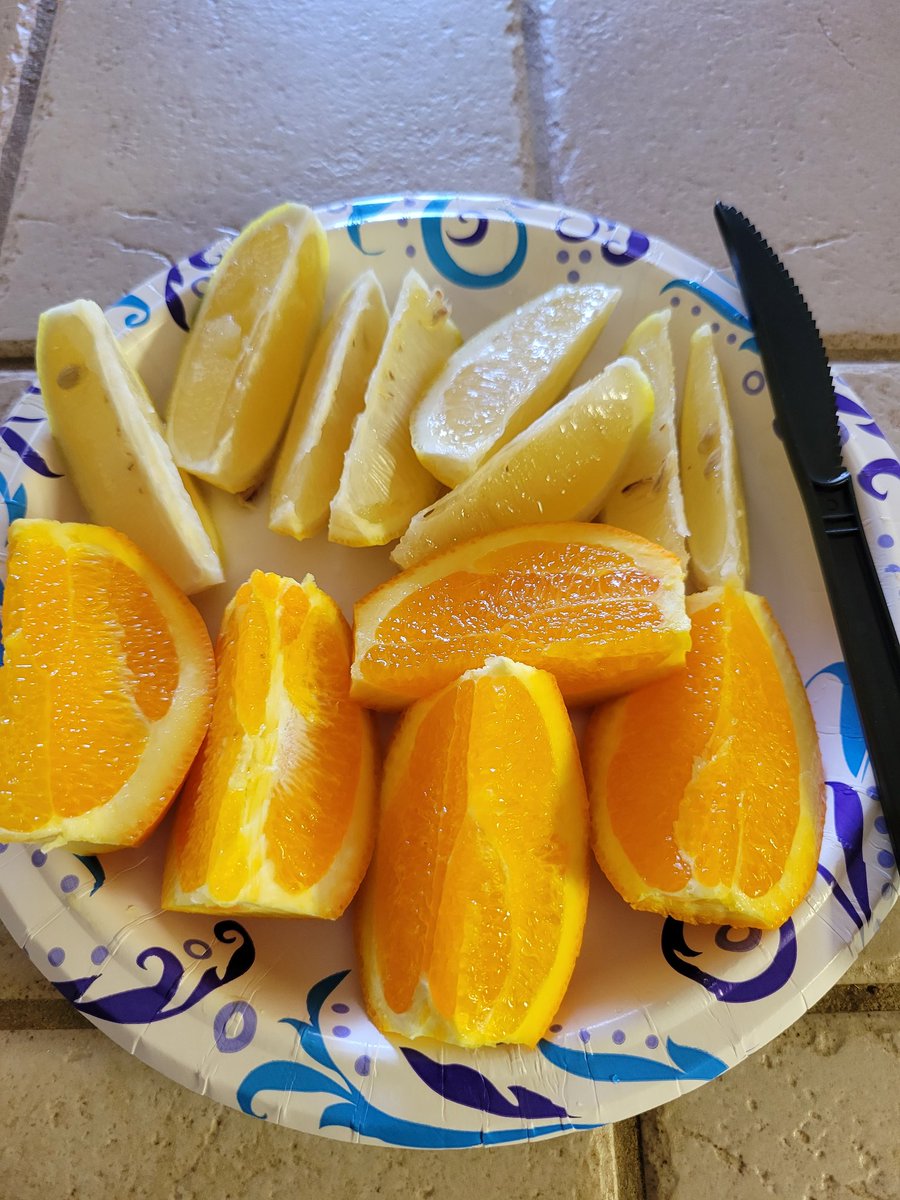luxurytax8's tweet image. #43poundsdown Before the workout starts Lemons 🍋 and oranges. #eatcleangetlean