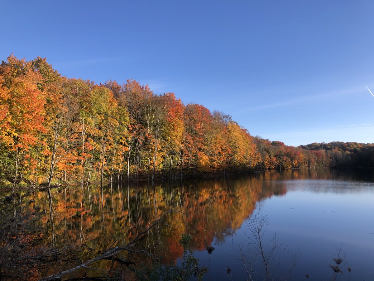 TurgFerd's tweet photo. I’m no biologist, but it appears as though the seasons have changed in northern Michigan. #FallUpNorth @NWSGaylord https://t.co/fo5tBPjpEX