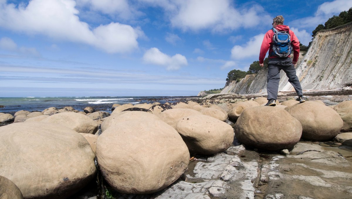 Over millions of years, this has eroded away under the constant onslaught of the Pacific Ocean, forming the cliffs that line the shore behind the beach and leaving the tougher “bowling balls” behind.

#bowlingballbeach #california #pointarena #beaches #beckworthandco