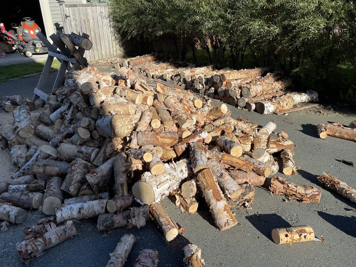 I’m thankful for family and friends, but mostly a son with a strong back. #woodcutting