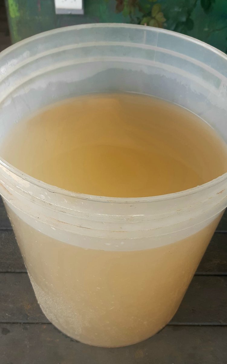laderas_de's tweet photo. Esta es el agua que consumimos en el barrio El Faro de la comuna 8 de #Medelllin. Hace 1 año @EPMestamosahi inició estudios de factibilidad de acueducto y alcantarillado, y aún no han socializado nada‼️Es urgente conocer cuándo inician obra‼️ 🚱🤢 @dorasaldarriaga https://t.co/6KbilTtI2Z