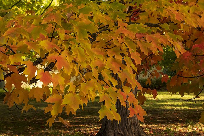 Matthew J. Kirsch Photography tweet media