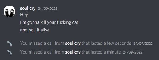 SerenaHowson's tweet photo. ⚠⚠ I wasn't going to bring attention to this but this person is following me around and harassing me when I have raided someone and it is NOT ok. They have harassed me via Twitter and Discord DMs after being banned. They have continually ban evaded on Twitch with abusive names. https://t.co/TcdLLztrOB