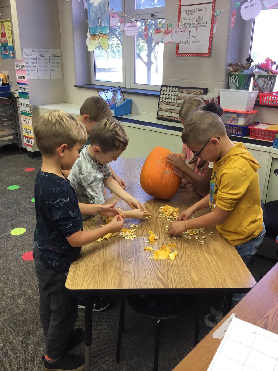 TheFolkField's tweet photo. We had the best time investigating which pumpkin had the most seed! The winner is……… drum roll please……Pumpkin C! #smallbutmighty We used our investigation &amp; the book #SpookleytheSquarePumpkin as perfect examples why we “don’t judge a book by its cover”! 🎃📚 https://t.co/TYlN78CCHQ