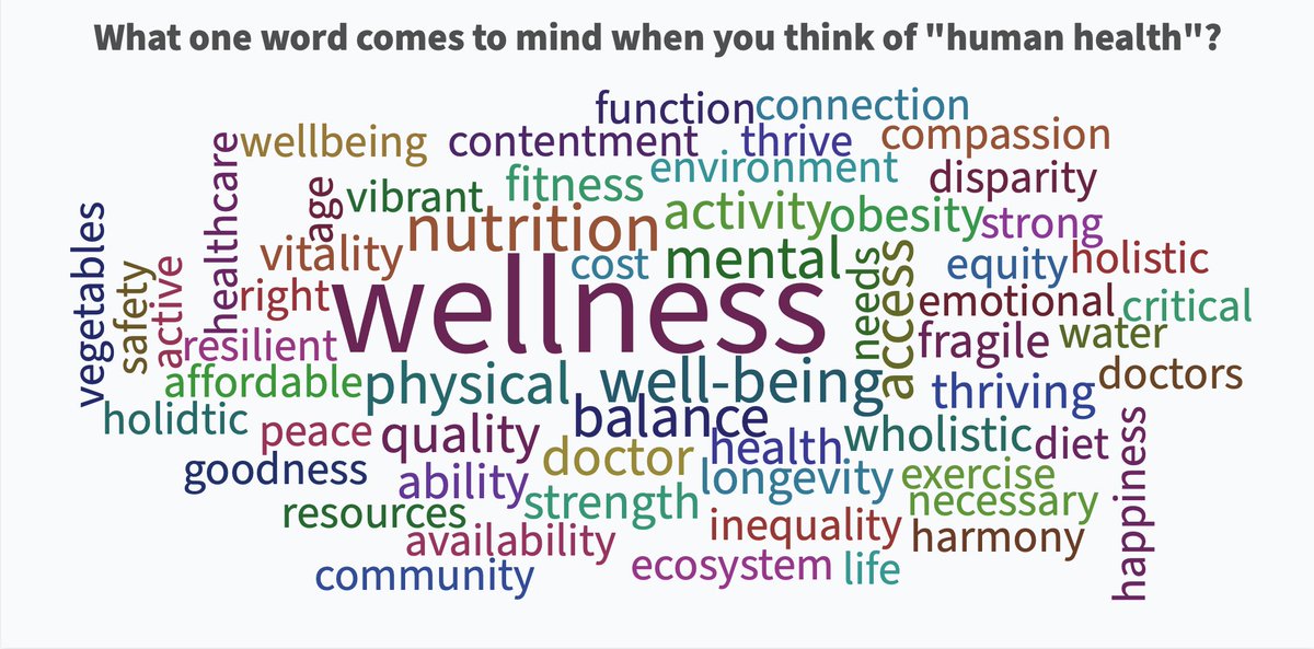 DanielOerther's tweet photo. 2/ #WordClouds from #Food, #Health, and #Environmental panel defining #FoodSecurity #HumanHealth #PlanetarySustainability #UMengagementWeek #MissouriFood @Jack_A_Bobo @nature_org @CIEH_President @The_CIEH @DTDyjack @nehaorg @MUExtension @MarshallStewart @MissouriSandT https://t.co/sLnNT250pP