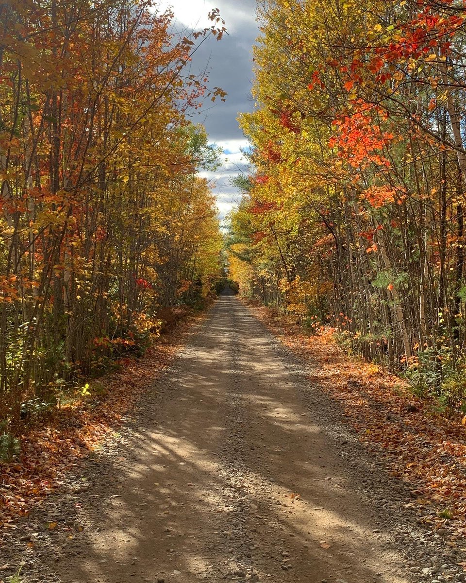 StephenBrophy17's tweet photo. Some fall pics https://t.co/jkm2ii42fF