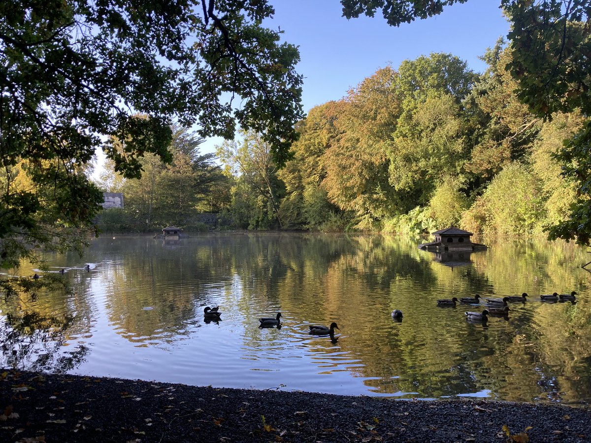 Beautiful morning at Castle Park, Kilkenny. @BiodCon_ie @kilkennyweather @kilkennycastle @BirdWatchIE @EcoEye @Irishwildlife @rteweathergirls @