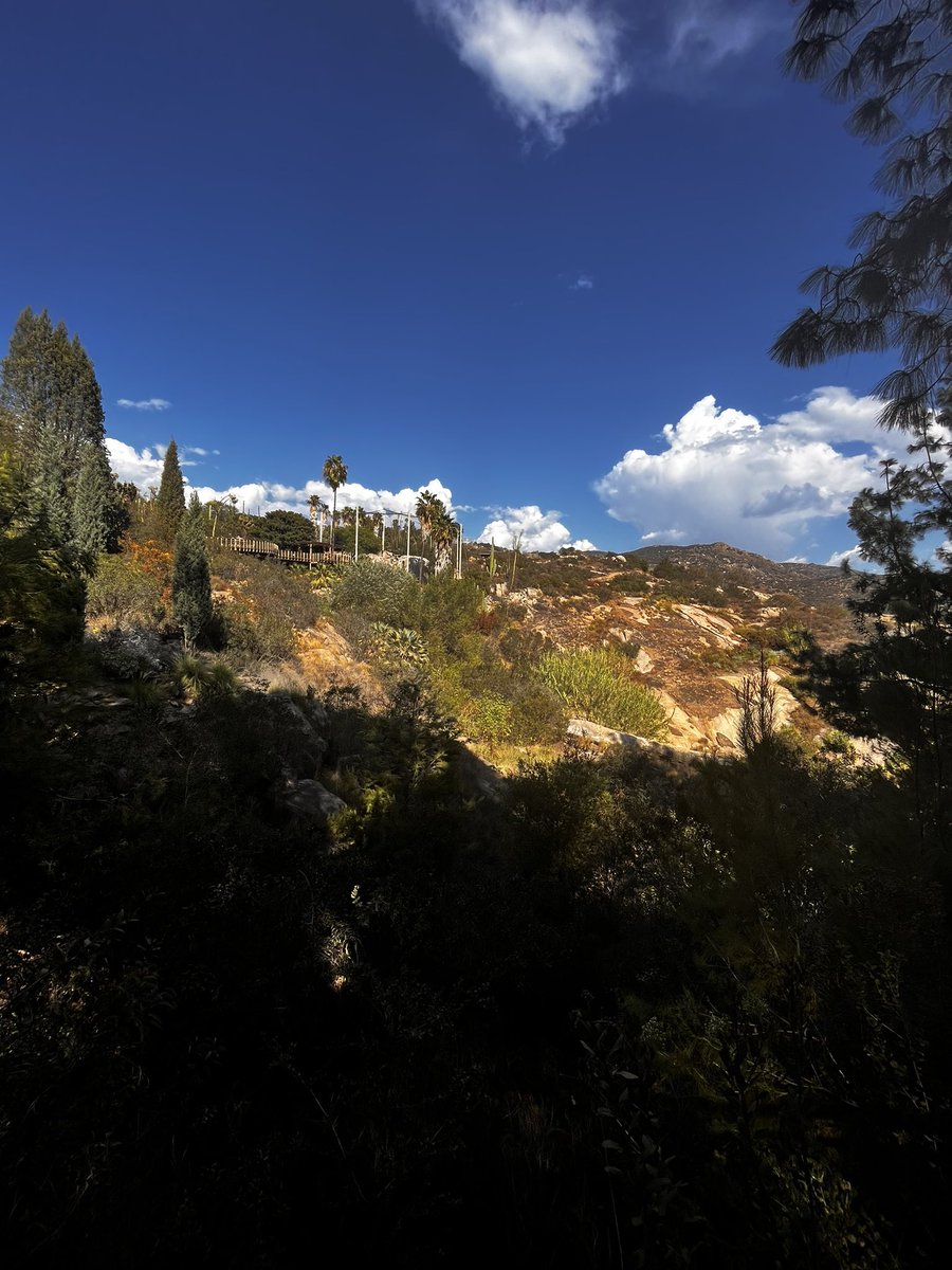 Just_Formidable's tweet image. Well it’s the last day in San Diego and I have to say I’ve had the absolute most fun I’ve ever had, nothing compares to this group of friends and I wouldn’t trade them for the world