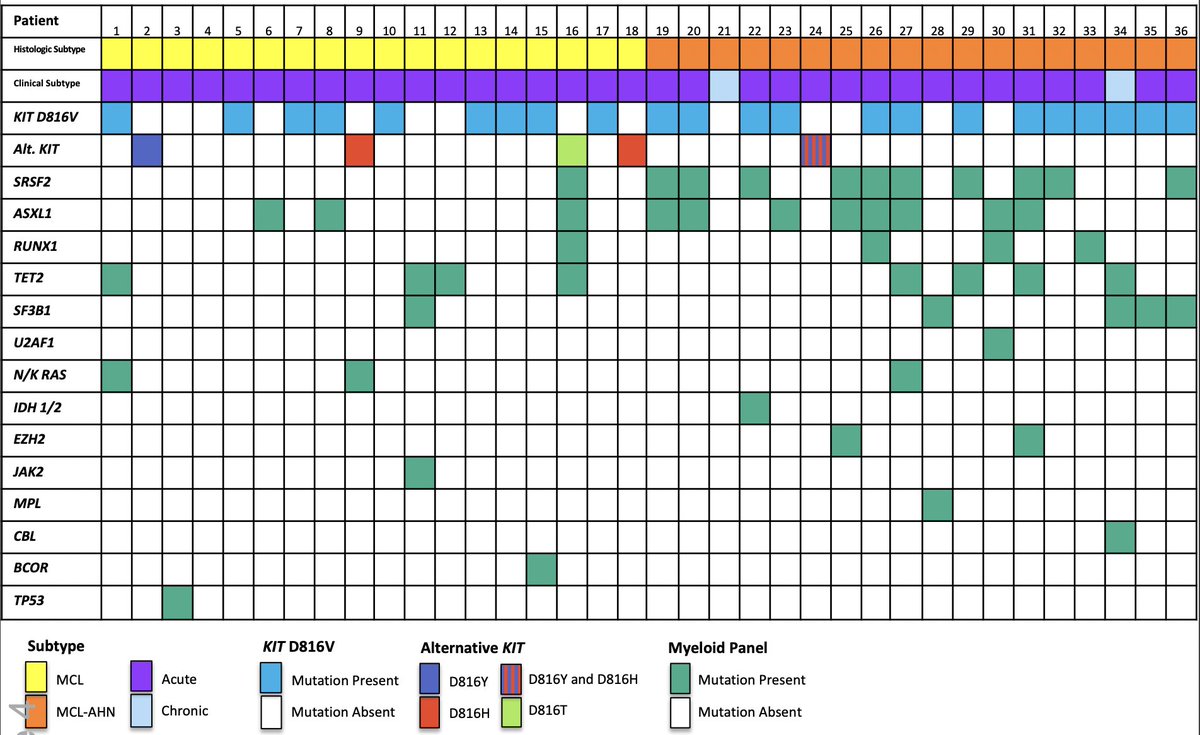 A very helpful paper in <a href="/BloodAdvances/">Blood Advances</a> by <a href="/vekennedy/">Vanessa Kennedy</a>  et al outlining outcomes in mast cell leukemia #mpnsm #leusm 
- median OS 1.6 years
- midostaurin the most commonly used agent
- mutational profile in below image
ashpublications.org/bloodadvances/…