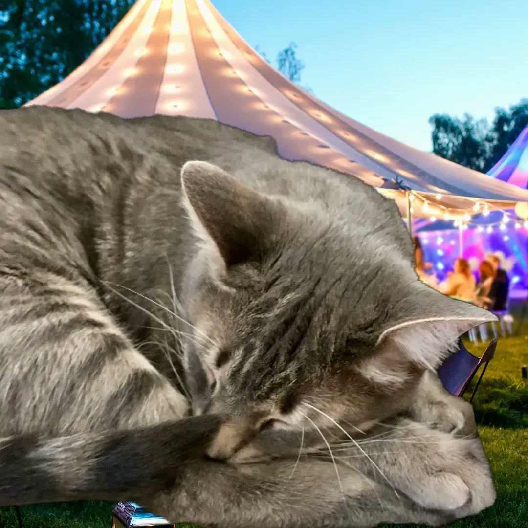 WayofCatsbook's tweet photo. Then Bud arranged himself precisely.
He dreamed of a party, but for cats.
It was very quiet.
#CatsofTwitter #CatsofImagination #BudBudtheSpud #SuperSenses https://t.co/PkKIkwE6u4
