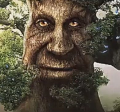 Odoamne's tweet image. ODOAMNE MAOKAI HACK？英雄联盟 SOLO BOLO MACHINE ? 英雄联盟 3-0 IN GROUP? 英雄联盟 SAPLING TOSSER? 英雄联盟