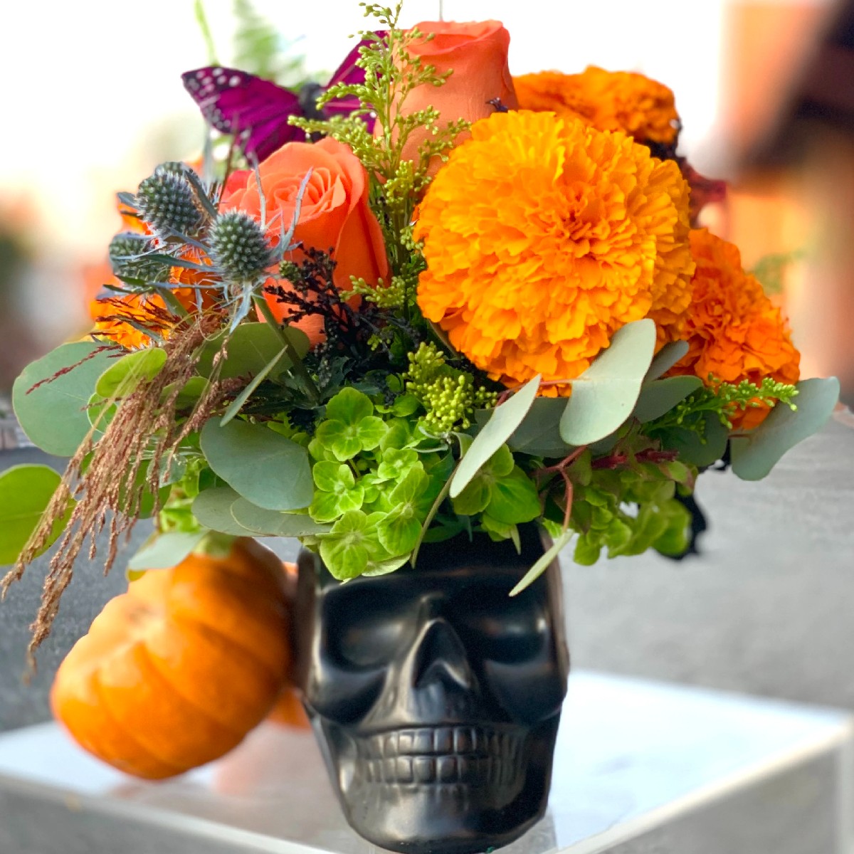 Bloom into fall in Torrance. Create beautiful memories and Día De Los Muertos colorful designs with Andes Florist on October 16th. Sip on beverages and bubbly provided by Torrance Marriott Redondo Beach. 

➡️ fal.cn/3sCrB