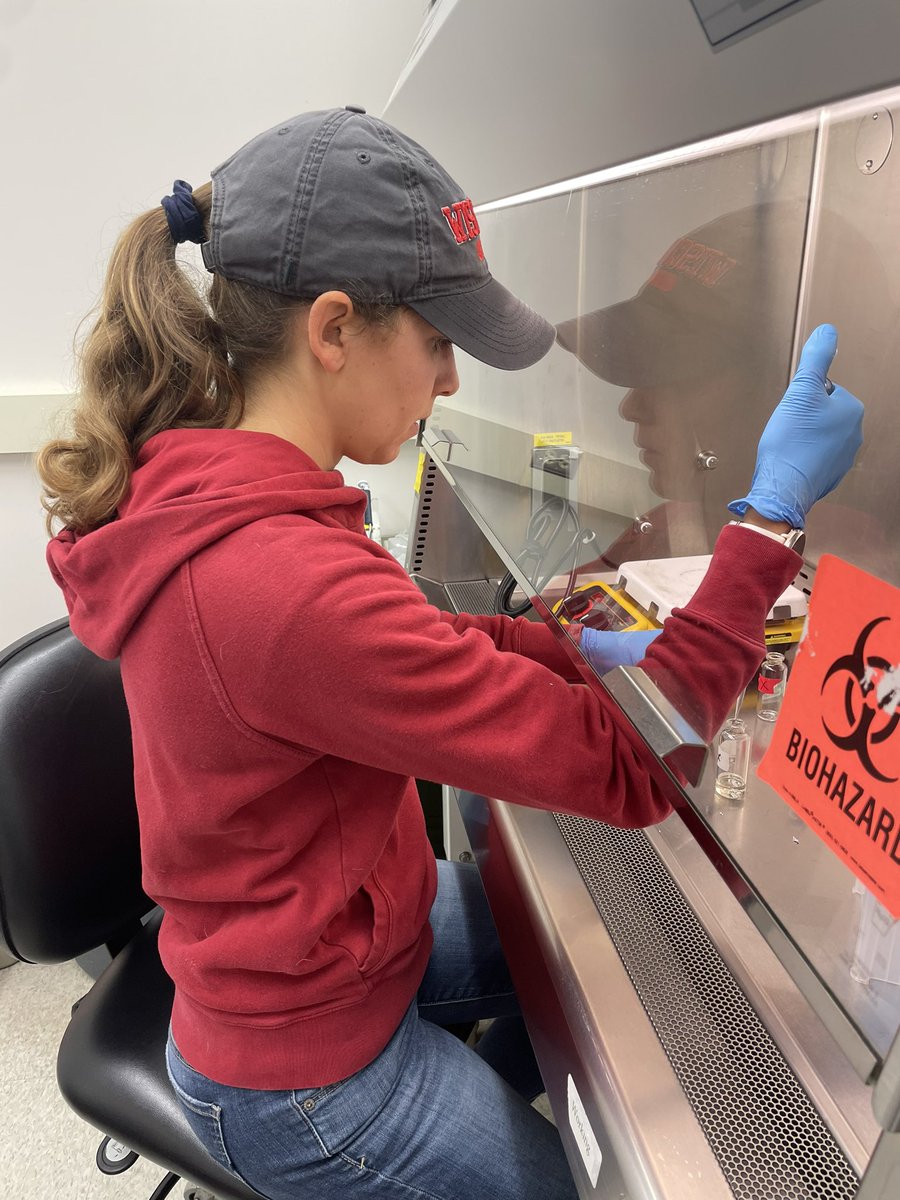 jmcartdvm's tweet image. Today in the #McArtDairyCowLab we scienced inside and outside. Science in the hood and science with heifers = lab and life skills! Plus quick release knots 😅. #Sciencer