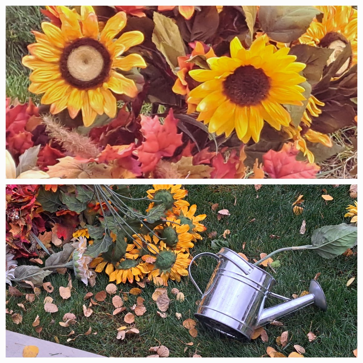 SusanRuddick1's tweet photo. Hubs made a flower arrangement, I suggested it may blow over in the wind. Hubs ...Nah I put rocks in it.
Me: takes photo before and after. ๐๐๐๐๐
#SoWindy https://t.co/chDNzpIS3a