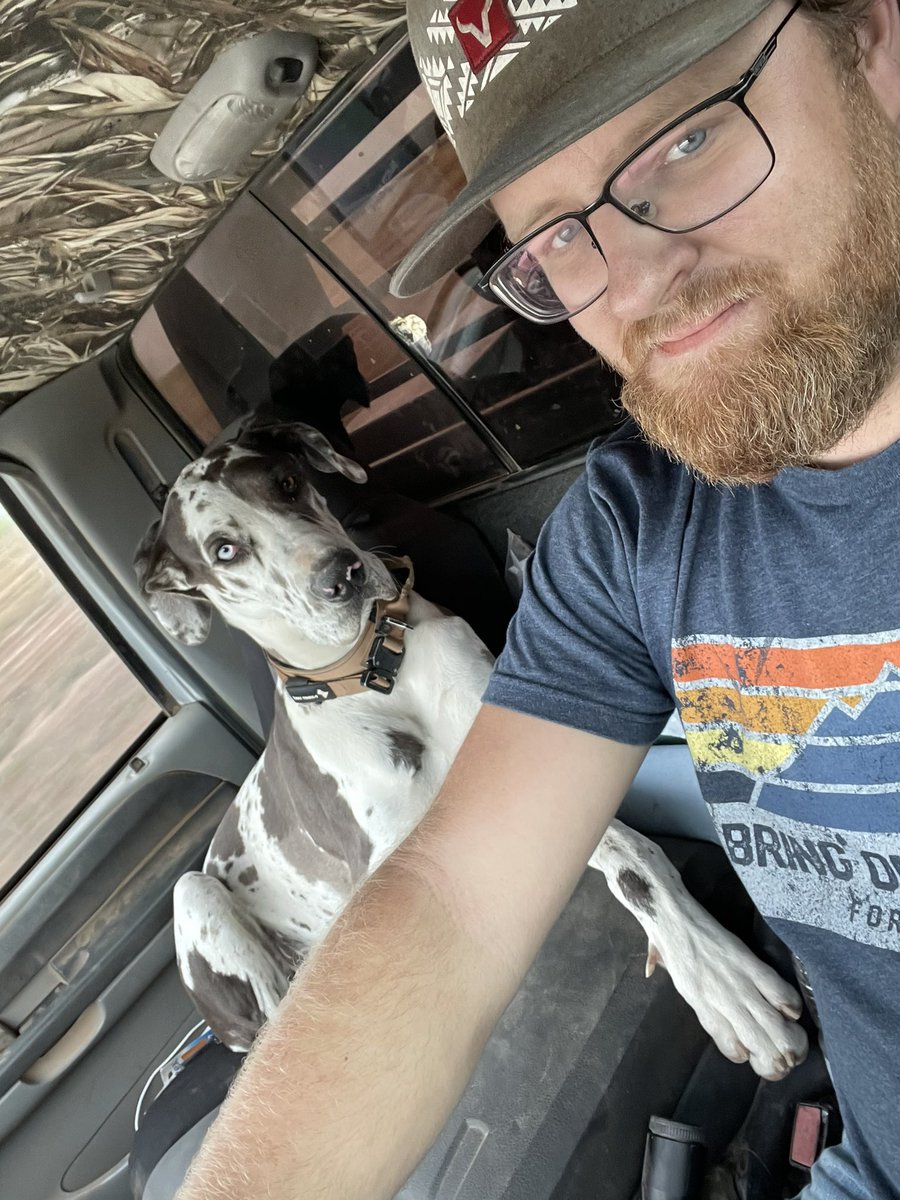JB_farmhand's tweet photo. She loves riding passenger seat https://t.co/rVAyrBVEMM